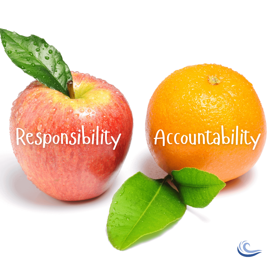 Responsibility and Accountability, like apples and oranges